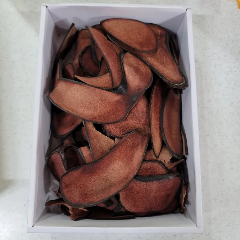 공진단 조제에 사용하는 녹용 원료