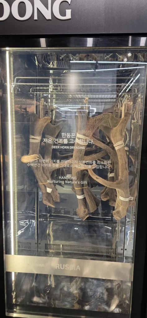 녹용과 아이 키 성장, 성분과 연구는 어떻게 읽어야 할까요? 대표 이미지